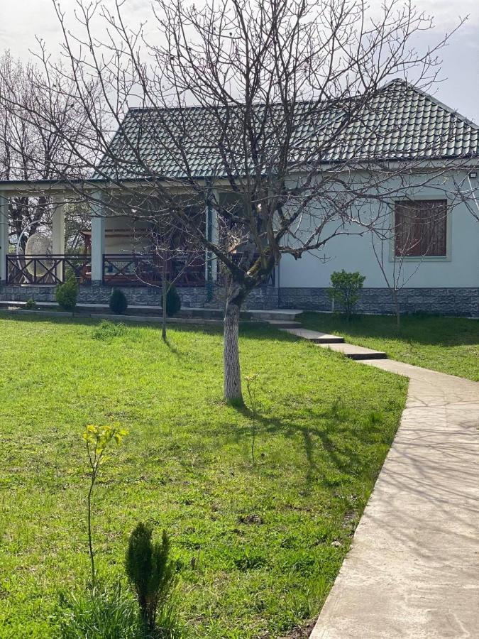 Villa Rokiti Exterior foto